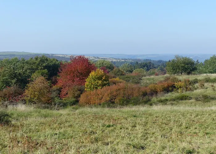Chalets Am National Park Eifel
